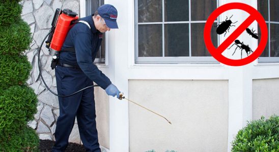 Tavşanlı Bit İlaçlama böcek ilaçlama ve haşere kontrolü — ilaclama-tr.com